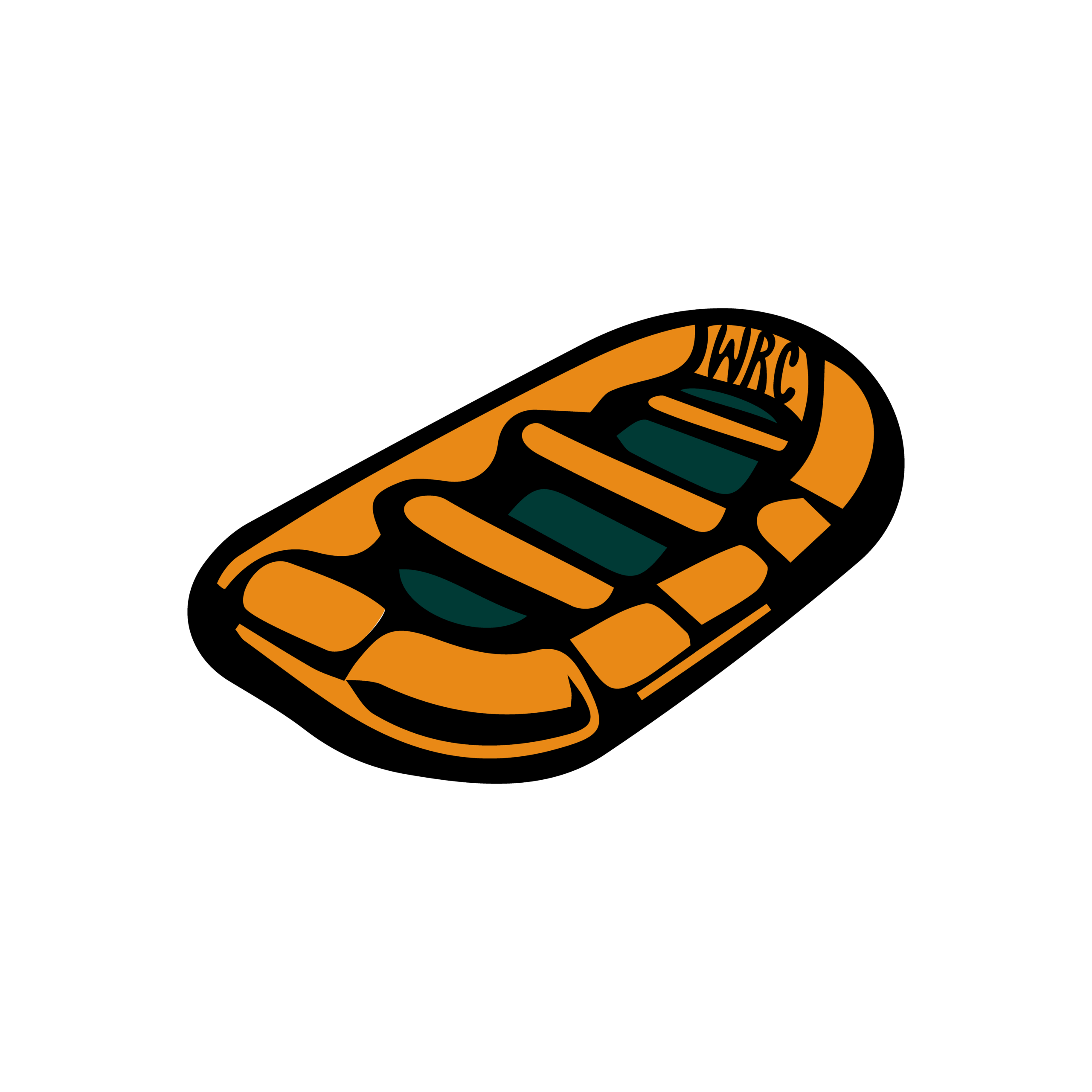 raft